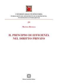 Il principio di efficienza nel diritto privato - Librerie.coop