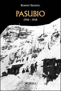 Pasubio 1916-1918 - Librerie.coop
