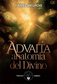 Advaita. Anatomia del divino - Librerie.coop