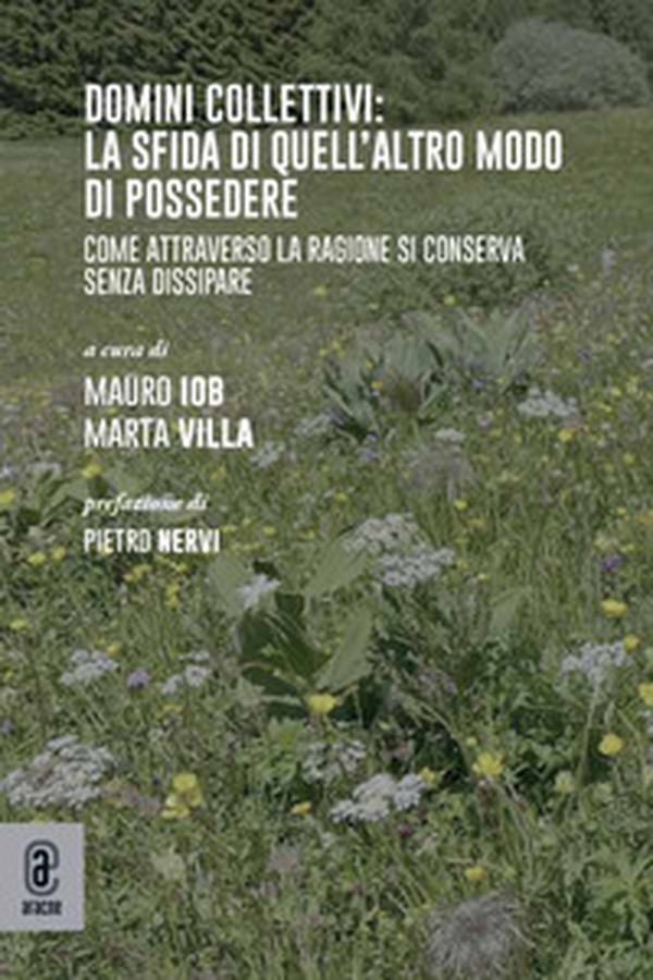 Domini collettivi: la sfida di quell'altro modo di possedere. Come attraverso la ragione si conserva senza dissipare - Librerie.coop Domini collettivi: la sfida di quell'altro modo di possedere. Come attraverso la ragione si conserva senza dissipare - Librerie.coop