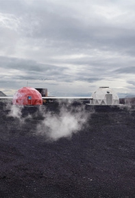 Net-Zero Transition. Ediz. italiana e inglese - Librerie.coop