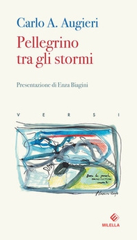 Pellegrino tra gli stormi - Librerie.coop