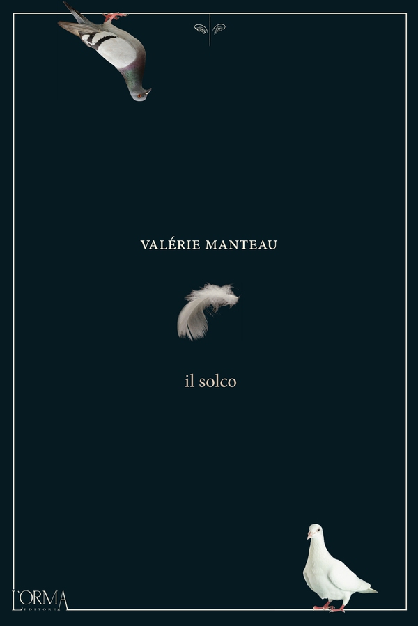 Il solco - Librerie.coop Il solco - Librerie.coop