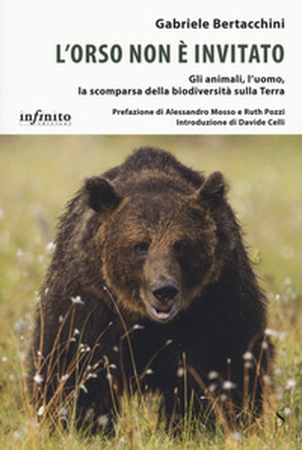 L'orso non è invitato. Gli animali, l'uomo, la scomparsa della biodiversità sulla Terra - Librerie.coop L'orso non è invitato. Gli animali, l'uomo, la scomparsa della biodiversità sulla Terra - Librerie.coop