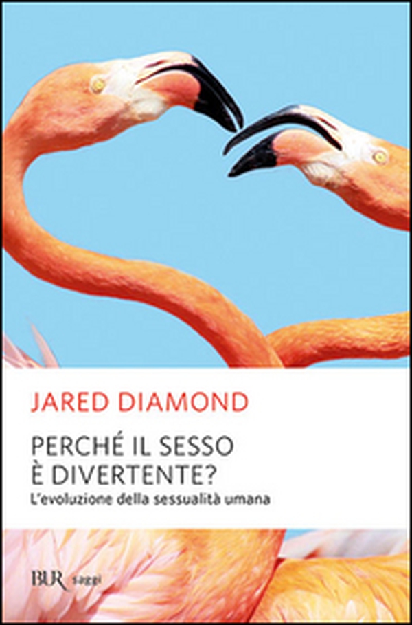 Perché il sesso è divertente? - Librerie.coop Perché il sesso è divertente? - Librerie.coop