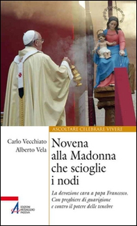 Novena alla Madonna che scioglie i nodi. La devozione cara a papa Francesco. Con preghiere di guarigione e contro il potere delle tenebre - Librerie.coop