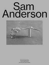 Sam Anderson - Librerie.coop