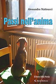Passi nell'anima - Librerie.coop