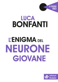 L'enigma del neurone giovane - Librerie.coop