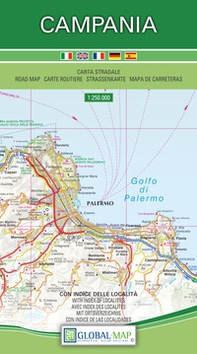Campania. Carta stradale della regione 1:250.000 (cm 96x86) - Librerie.coop