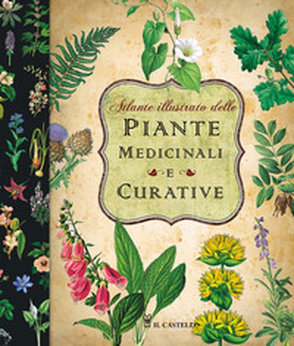 Atlante illustrato delle piante medicinali e curative - Librerie.coop Atlante illustrato delle piante medicinali e curative - Librerie.coop