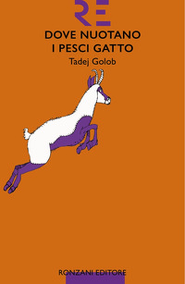 Dove nuotano i pesci gatto - Librerie.coop Dove nuotano i pesci gatto - Librerie.coop