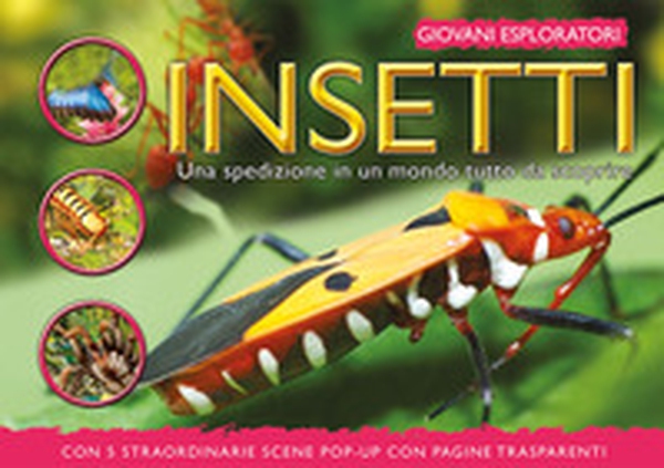 Insetti. Una spedizione in un mondo tutto da scoprire - Librerie.coop Insetti. Una spedizione in un mondo tutto da scoprire - Librerie.coop