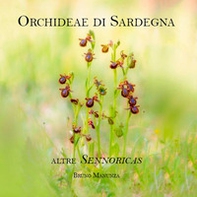 Orchideae di Sardegna. Altre Sennoricas - Librerie.coop