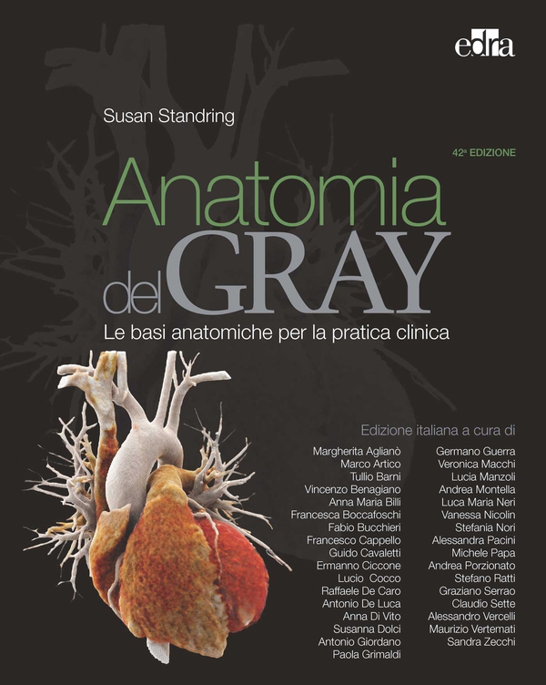 Anatomia del Gray 42 ed. - Librerie.coop Anatomia del Gray 42 ed. - Librerie.coop