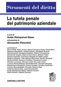 La tutela penale del patrimonio aziendale. Rilevanza penale degli asset intangibili e strumenti di tutela. Volume unico - Librerie.coop