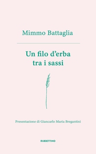 Un filo d’erba tra i sassi - Librerie.coop Un filo d’erba tra i sassi - Librerie.coop