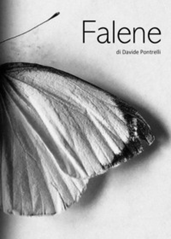 Falene - Librerie.coop Falene - Librerie.coop