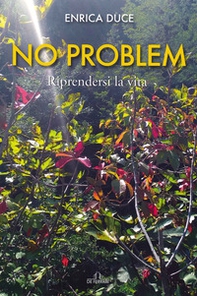 No problem. Riprendersi la vita - Librerie.coop