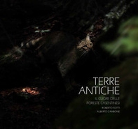 Terre antiche. Il cuore delle foreste Casentinesi - Librerie.coop