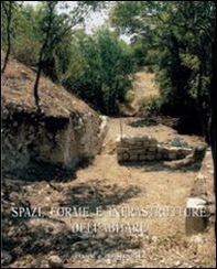 Spazi, forme e infrastrutture nell'abitare - Librerie.coop Spazi, forme e infrastrutture nell'abitare - Librerie.coop