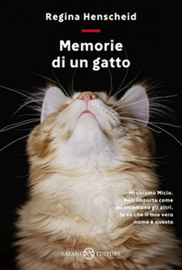 Memorie di un gatto - Librerie.coop Memorie di un gatto - Librerie.coop