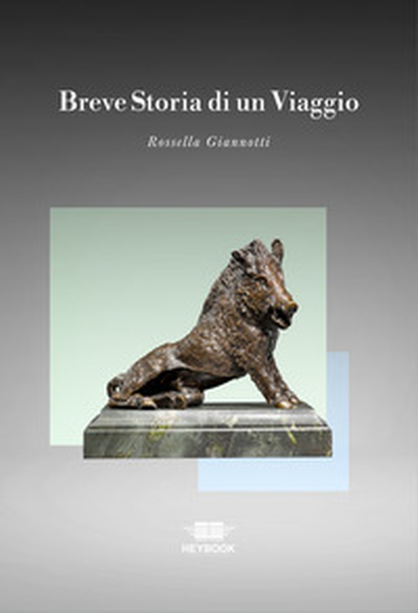 Breve storia di un viaggio - Librerie.coop Breve storia di un viaggio - Librerie.coop