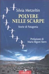 Polvere nelle scarpe. Storie di Patagonia - Librerie.coop