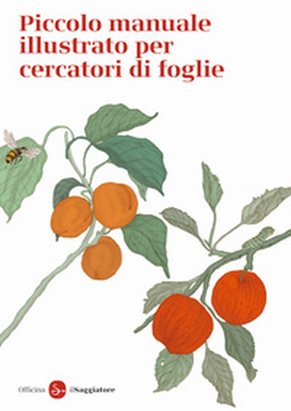 Piccolo manuale illustrato per cercatori di foglie - Librerie.coop Piccolo manuale illustrato per cercatori di foglie - Librerie.coop