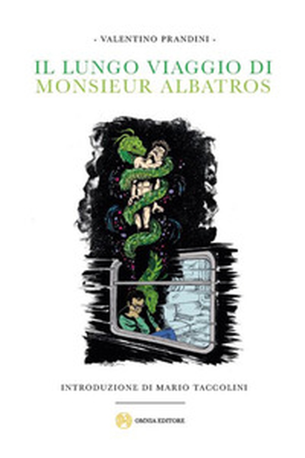 Il lungo viaggio di monsieur Albatros - Librerie.coop Il lungo viaggio di monsieur Albatros - Librerie.coop