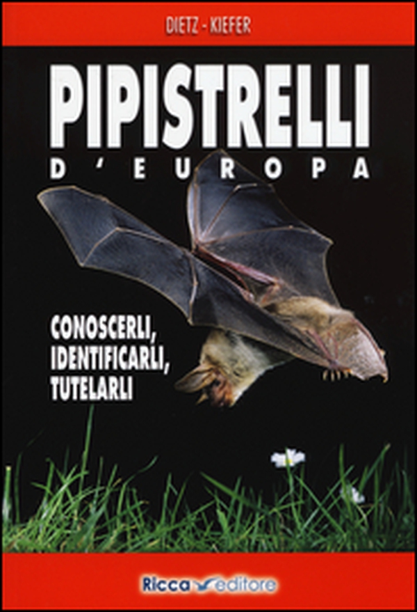 Pipistrelli d'Europa. Conoscerli, identificarli, tutelarli - Librerie.coop Pipistrelli d'Europa. Conoscerli, identificarli, tutelarli - Librerie.coop