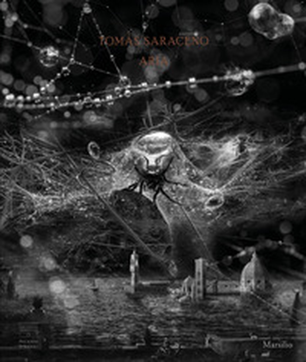 Tomás Saraceno. Aria. Catalogo della mostra (Firenze, 22 febbraio-19 luglio 2020). Ediz. inglese - Librerie.coop Tomás Saraceno. Aria. Catalogo della mostra (Firenze, 22 febbraio-19 luglio 2020). Ediz. inglese - Librerie.coop