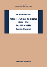 Disapplicazione giudiziale della legge e Carta di Nizza. Profili costituzionali - Librerie.coop
