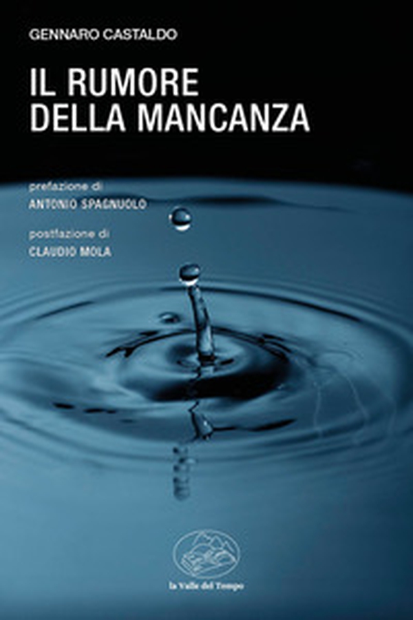 Il rumore della mancanza - Librerie.coop Il rumore della mancanza - Librerie.coop