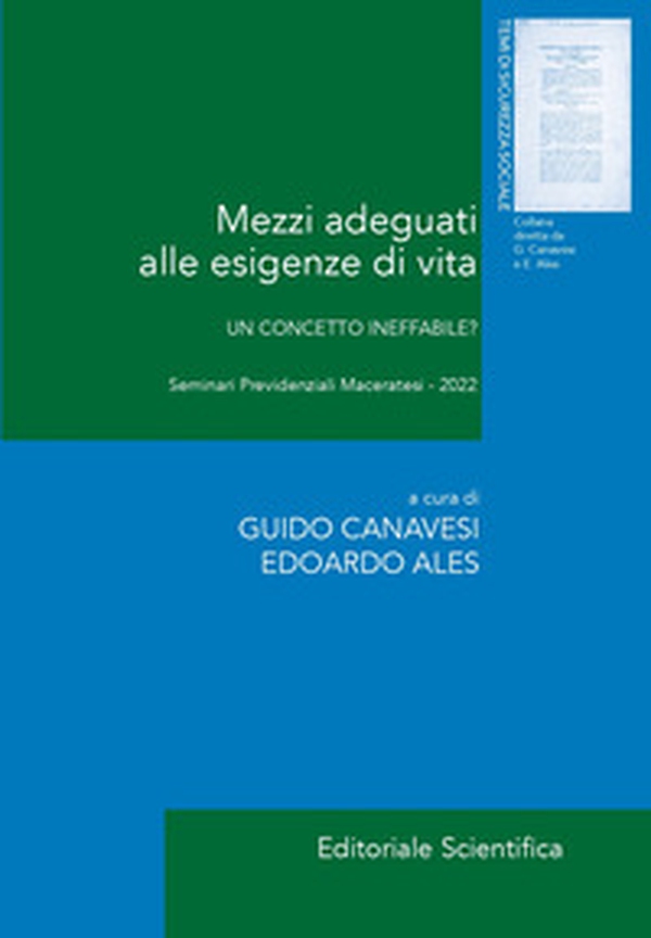 Mezzi adeguati alle esigenze di vita. Un concetto ineffabile? - Librerie.coop Mezzi adeguati alle esigenze di vita. Un concetto ineffabile? - Librerie.coop