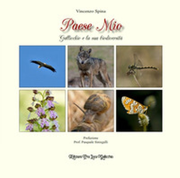 Paese mio. Gallicchio e la sua biodiversità - Librerie.coop Paese mio. Gallicchio e la sua biodiversità - Librerie.coop