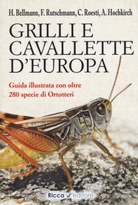 Grilli e cavallette d'Europa - Librerie.coop Grilli e cavallette d'Europa - Librerie.coop