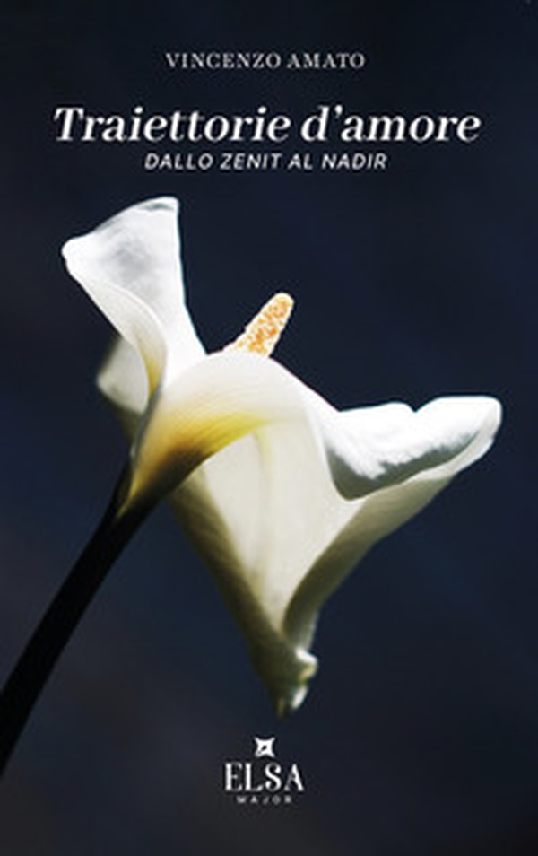 Traiettorie d'amore. Dallo Zenit al Nadir - Librerie.coop
