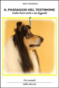 Il passaggio del testimone. Dodici brevi storie e una leggenda - Librerie.coop