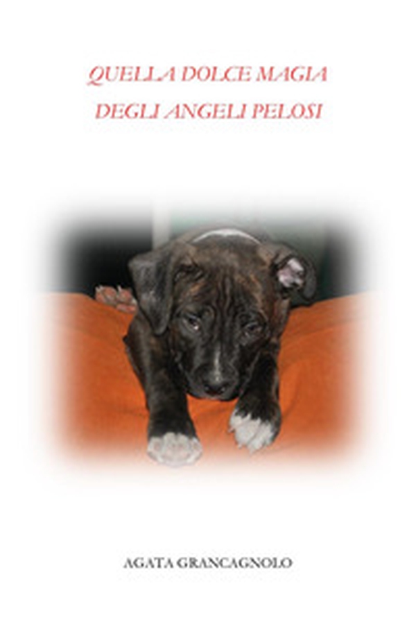 Quella dolce magia degli angeli pelosi - Librerie.coop Quella dolce magia degli angeli pelosi - Librerie.coop