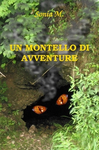 Un Montello di avventure - Librerie.coop