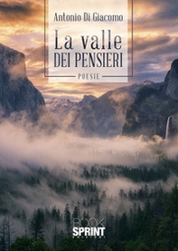 La valle dei pensieri - Librerie.coop
