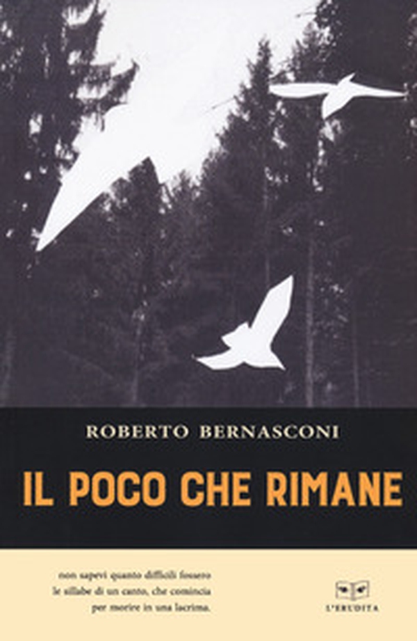 Il poco che rimane - Librerie.coop Il poco che rimane - Librerie.coop