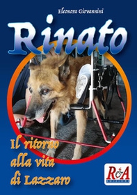 Rinato. Il ritorno alla vita di Lazzaro - Librerie.coop