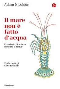 Il mare non è fatto d'acqua. Una storia di natura, creature e maree - Librerie.coop