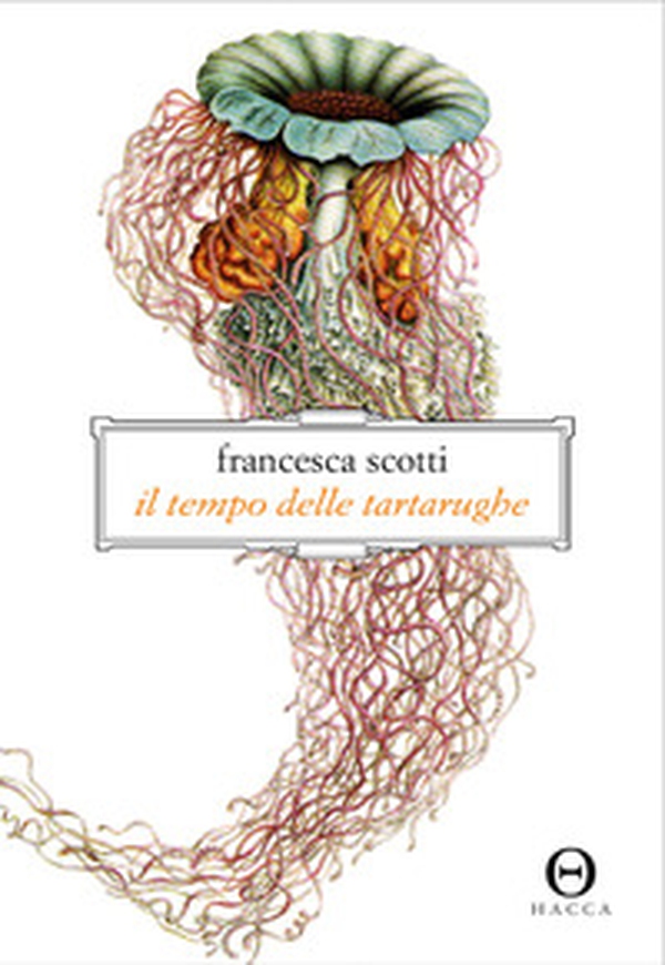Il tempo delle tartarughe - Librerie.coop Il tempo delle tartarughe - Librerie.coop
