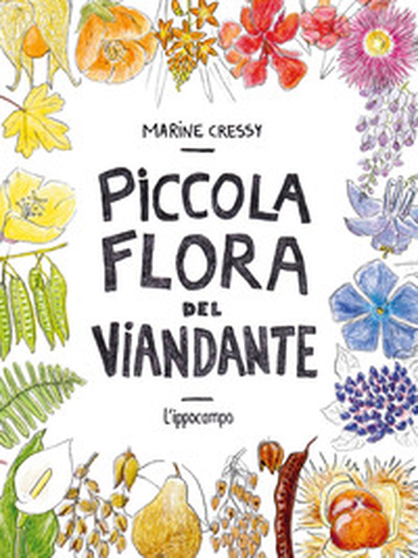 Piccola flora del viandante - Librerie.coop Piccola flora del viandante - Librerie.coop