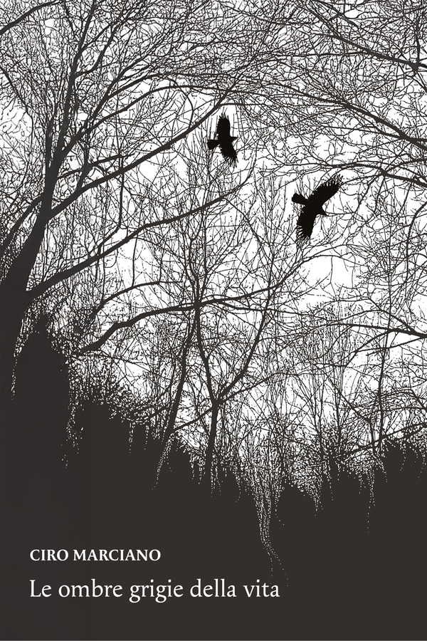 Le ombre grigie della vita - Librerie.coop