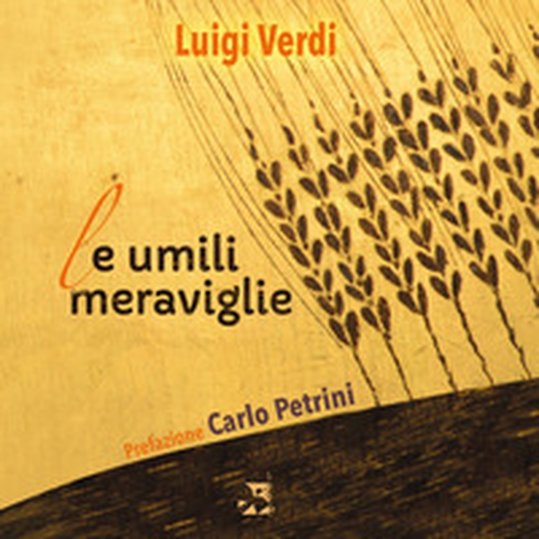 Le umili meraviglie - Librerie.coop Le umili meraviglie - Librerie.coop