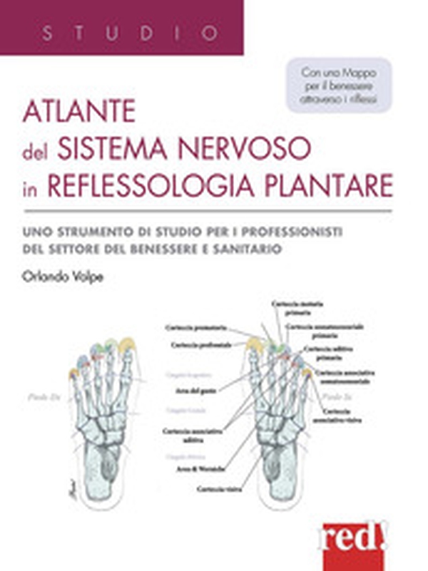 Atlante del sistema nervoso in reflessologia plantare. Uno strumento di studio per professionisti del settore del benessere e sanitario - Librerie.coop Atlante del sistema nervoso in reflessologia plantare. Uno strumento di studio per professionisti del settore del benessere e sanitario - Librerie.coop